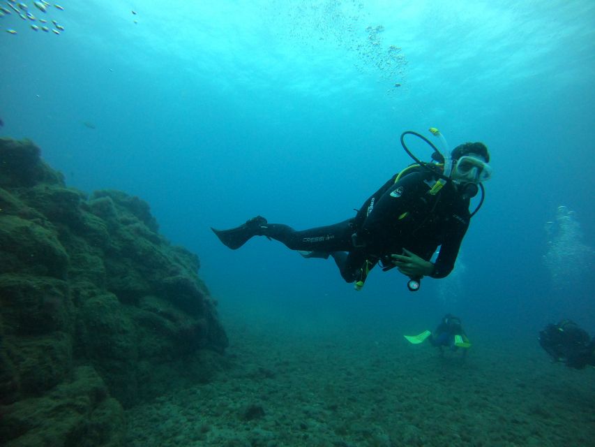 Gran Canaria: Discover Scuba Diving - Free Transfers - The day’s water spot: Amadores or Tufia (chosen by weather)