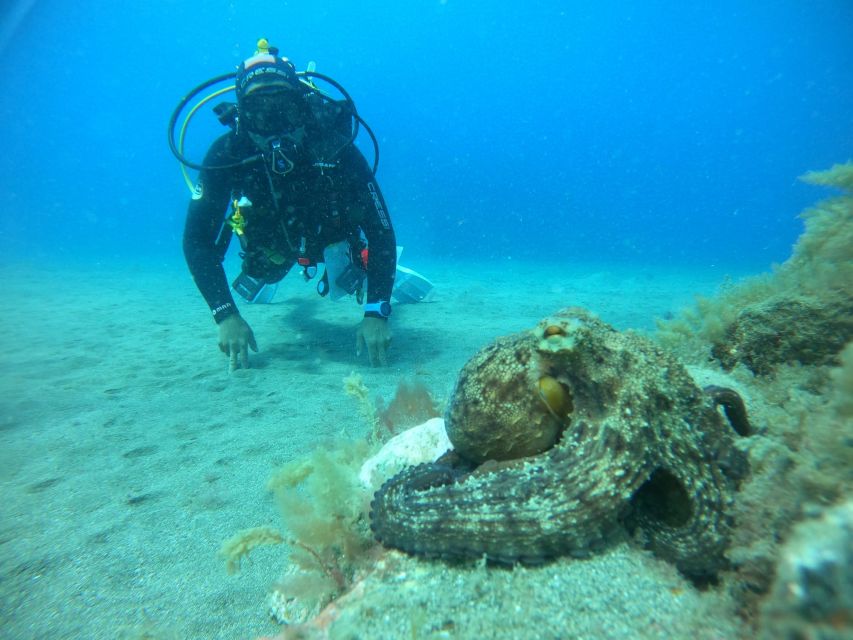 Gran Canaria: Discover Scuba Diving - Free Transfers - Small groups and the “wait on the beach” reality in peak season
