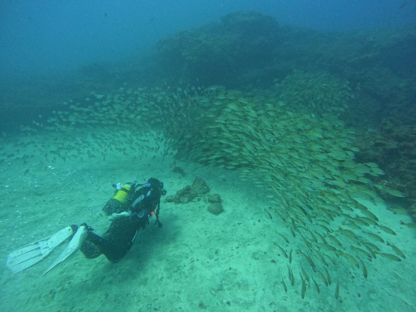 Gran Canaria: Discover Scuba Diving - Free Transfers - Pickup, van ride, gear fitting, and that pre-water coffee