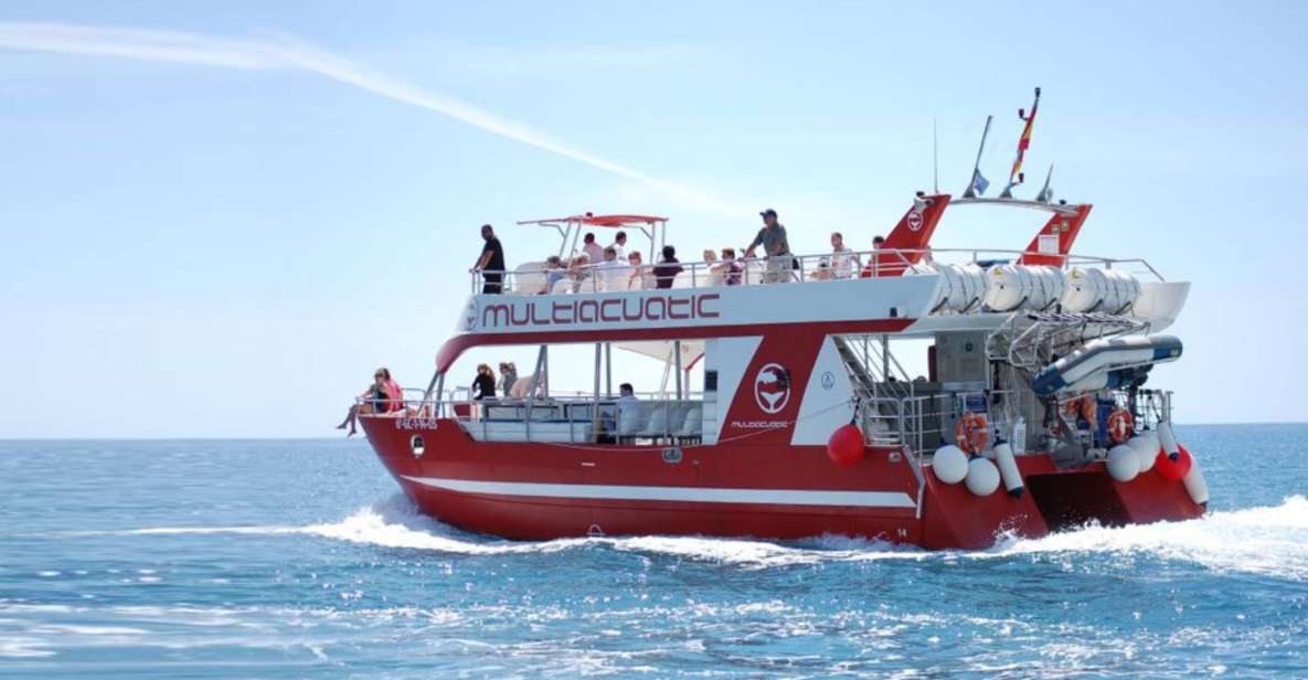 Gran Canaria: Dolphin and Whale Watching Cruise - Key highlights to know before you go