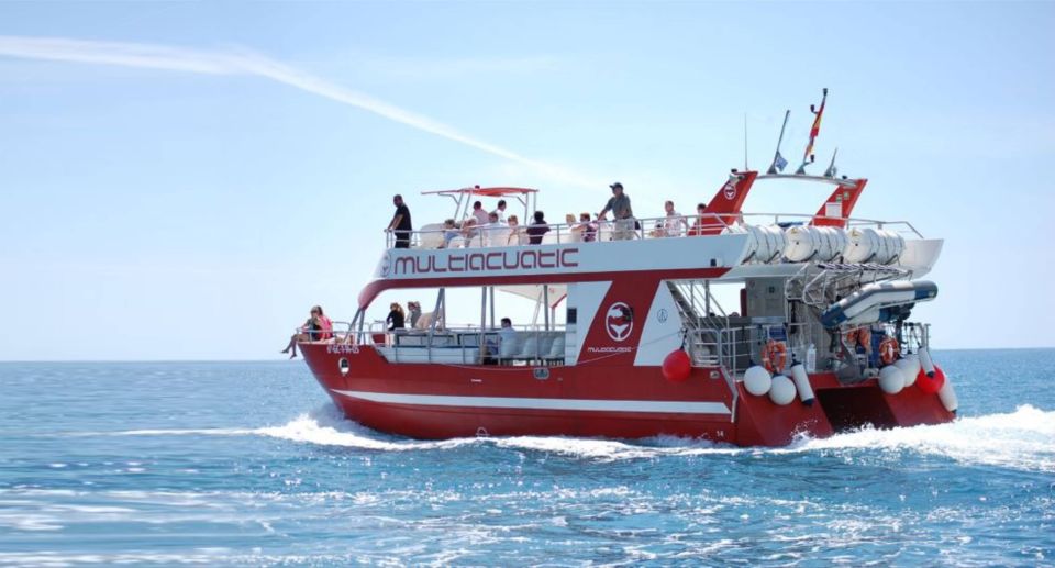 Gran Canaria: Dolphin and Whale Watching Cruise - Where You Board in Puerto Rico (Boat Lineas Salmón at 10:15)
