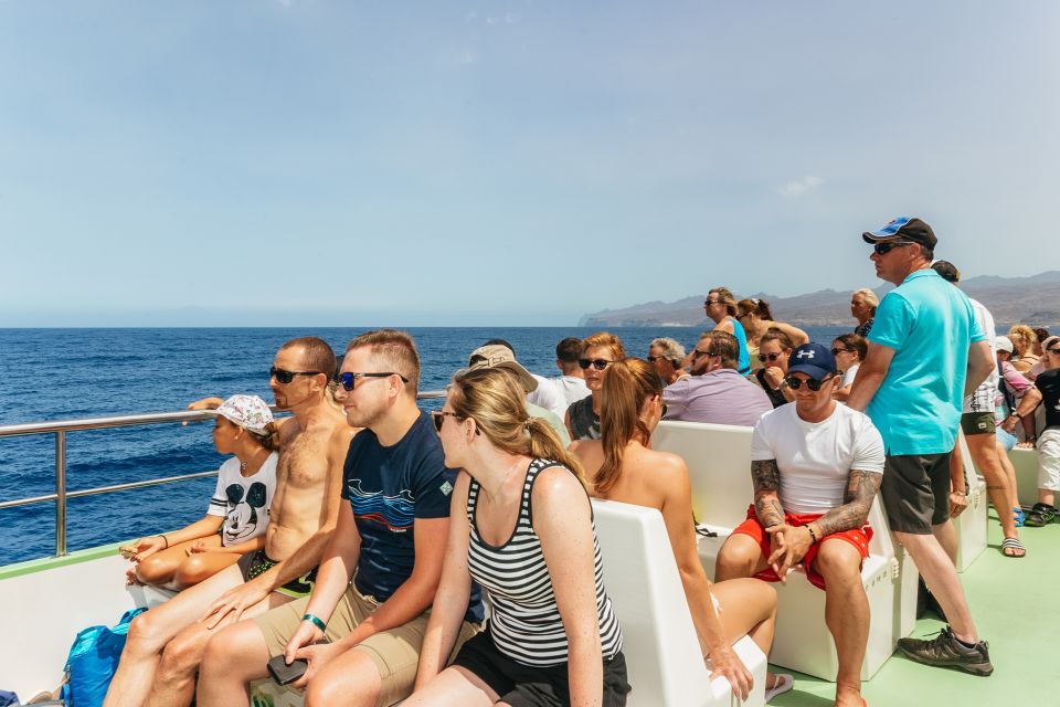Gran Canaria: Dolphin and Whale Watching Cruise - Price and Value: How $40 Fits the Real Risk of Wildlife Watching