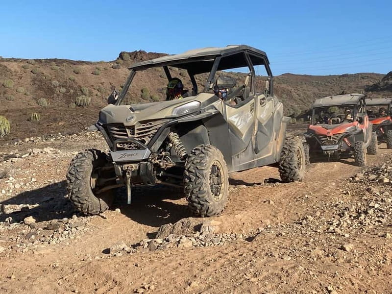 GRAN CANARIA: FAMILY MONSTER BUGGY </em>4 SEATS -LONG TOUR 2.5HR – Should You Book the Family Monster Buggy Tour?’ /><br />
Book it if your family will enjoy <em>driving</em> more than <em>sitting still</em>. With <strong>hotel pickup</strong>, <strong>4-seat family buggies</strong>, <strong>goggles included</strong>, and the ability to <strong>switch drivers for free</strong>, it’s built to make sure more than one person gets the wheel time.</p>
<p><p>Skip or rethink it if you’re expecting a relaxed, fully narrated experience and you’re not a fan of dust. Bring a dust mask if you’re worried, read your pickup email carefully, and arrive ready to listen fast and drive confidently.</p>
</p>
<p><p>If you line up the basics (age/height rules, driver license, and comfort with off-road bumps), this is one of those Gran Canaria activities that can turn into a standout day for the kids and the adults who don’t mind the dirt.</p>
</p>
<h2 id="faq">FAQ</h2>
<h3 id="how-long-is-the-gran-canaria-family-monster-buggy-tour">How long is the Gran Canaria family monster buggy tour?</h3>
<p>The activity is listed as <strong>2.5 hours of buggy time</strong>, and the total duration is <strong>about 3 hours</strong> with pickup included. Check available starting times for the exact schedule.</p>
<h3 id="do-i-need-a-drivers-license-to-ride-the-buggy">Do I need a driver’s license to ride the buggy?</h3>
<p>Yes. Drivers must bring a <strong>valid driver’s license</strong>, and drivers must have <strong>at least 1 year of driving experience</strong>. The tour also states that drivers must be <strong>21 years or older</strong>.</p>
<h3 id="what-are-the-height-and-age-rules-for-kids">What are the height and age rules for kids?</h3>
<p>Kids are welcome from about <strong>1 meter tall</strong>, roughly <strong>4–5 years old</strong>. The tour is <strong>not suitable for children under 4 years</strong>.</p>
<h3 id="is-pickup-from-my-hotel-included">Is pickup from my hotel included?</h3>
<p>Pickup is included, with service listed for areas like <strong>Bahía Feliz, San Agustín, Playa del Inglés, Maspalomas, Meloneras, Arguineguín, Puerto Rico, Taurito, and Puerto de Mogán</strong>. Pickup happens outside your hotel, and you’ll receive an email with the exact pickup place and time.</p>
<h3 id="whats-the-difference-between-standard-and-premium-drop-off">What’s the difference between standard and premium drop-off?</h3>
<p>Standard drop-off is free for <strong>Bahía Feliz, San Agustín, Playa del Inglés, Maspalomas, Sonnenland, and Meloneras</strong>. For other areas, you may be dropped at a nearby taxi stop or public transport point. Premium drop-off is direct to your accommodation, if available, and can require a request after booking.</p>
<h3 id="are-dust-masks-included">Are dust masks included?</h3>
<p>No. <strong>Dust masks are not included</strong>, though <strong>off-road goggles are provided</strong>.</p>
<h3 id="can-i-switch-drivers-during-the-tour">Can I switch drivers during the tour?</h3>
<p>Yes. The tour states that it’s possible to switch drivers <strong>at no extra cost</strong>.</p>
</div><aside class="gc-post-sidebar"> <div class="gc-booking">
<a class="gc-booking-image" href="https://www.getyourguide.com/gran-canaria-l418/gran-canaria-family-monster-buggy-4-seats-long-tour-25hr-t801192/" target="_blank" rel="nofollow noopener sponsored" aria-label="GRAN CANARIA: FAMILY MONSTER BUGGY *4 SEATS -LONG TOUR 2.5HR">
<img decoding="async" src="https://gran-canaria-tourism.com/wp-content/uploads/2026/06/gran-canaria-family-monster-buggy-4-seats-long-tour-2-5hr.jpg" alt="" loading="lazy" />
</a>
<div class="gc-booking-body">
<p class="gc-booking-platform">Official tickets via <strong>GetYourGuide</strong></p>
<p class="gc-booking-price">From <strong>$117</strong> <span>per person</span></p>
<p class="gc-booking-section-label">Check Availability</p>
<div class="gc-booking-dates">
<a class="gc-booking-date gc-booking-date--today" href="https://www.getyourguide.com/gran-canaria-l418/gran-canaria-family-monster-buggy-4-seats-long-tour-25hr-t801192/" target="_blank" rel="nofollow noopener sponsored">
<span class="day">Tue</span>
<span class="date">9 Jun</span>
</a>
<a class="gc-booking-date" href="https://www.getyourguide.com/gran-canaria-l418/gran-canaria-family-monster-buggy-4-seats-long-tour-25hr-t801192/" target="_blank" rel="nofollow noopener sponsored">
<span class="day">Wed</span>
<span class="date">10 Jun</span>
</a>
<a class="gc-booking-date" href="https://www.getyourguide.com/gran-canaria-l418/gran-canaria-family-monster-buggy-4-seats-long-tour-25hr-t801192/" target="_blank" rel="nofollow noopener sponsored">
<span class="day">Thu</span>
<span class="date">11 Jun</span>
</a>
<a class="gc-booking-date" href="https://www.getyourguide.com/gran-canaria-l418/gran-canaria-family-monster-buggy-4-seats-long-tour-25hr-t801192/" target="_blank" rel="nofollow noopener sponsored">
<span class="day">Fri</span>
<span class="date">12 Jun</span>
</a>
<a class="gc-booking-date gc-booking-date--more" href="https://www.getyourguide.com/gran-canaria-l418/gran-canaria-family-monster-buggy-4-seats-long-tour-25hr-t801192/" target="_blank" rel="nofollow noopener sponsored" aria-label="See all dates">
<svg width="18" height="18" viewBox="0 0 24 24" fill="none" stroke="currentColor" stroke-width="2" stroke-linecap="round" stroke-linejoin="round" aria-hidden="true">
<rect x="3" y="4" width="18" height="18" rx="2" ry="2"></rect>
<line x1="16" y1="2" x2="16" y2="6"></line>
<line x1="8" y1="2" x2="8" y2="6"></line>
<line x1="3" y1="10" x2="21" y2="10"></line>
</svg>
</a>
</div>
<a class="gc-booking-cta" href="https://www.getyourguide.com/gran-canaria-l418/gran-canaria-family-monster-buggy-4-seats-long-tour-25hr-t801192/" target="_blank" rel="nofollow noopener sponsored">Book on GetYourGuide →</a>
<p class="gc-booking-rating">
<span class="gc-stars" aria-label="Rating: 3.7 out of 5">
<span class="gc-stars-bg" aria-hidden="true">★★★★★</span>
<span class="gc-stars-fg" aria-hidden="true" style="width: 74%">★★★★★</span>
</span>
<strong>3.7</strong>
<span class="reviews">(51 reviews)</span> </p>
<p class="gc-booking-note">Reviewed by Gran Canaria Tourism.<br>Booking Through GetYourGuide.</p>
</div>
</div>
</aside></div><div class="sb-related-posts"><h3>You Might Also Enjoy</h3><div class="sb-related-grid"><a href="https://gran-canaria-tourism.com/kayaking-adventure-route-with-snorkeling-in-mogan-caves/" class="sb-related-item"><img decoding="async" width="300" height="200" src="https://gran-canaria-tourism.com/wp-content/uploads/2026/06/kayaking-adventure-route-with-snorkeling-in-mogan-caves-400x266.jpg" class="attachment-medium size-medium wp-post-image" alt="Kayaking Adventure Route with Snorkeling in Mogan Caves - Getting Started in Taurito: Meeting Point and First Instructions" loading="lazy" srcset="https://gran-canaria-tourism.com/wp-content/uploads/2026/06/kayaking-adventure-route-with-snorkeling-in-mogan-caves-400x266.jpg 400w, https://gran-canaria-tourism.com/wp-content/uploads/2026/06/kayaking-adventure-route-with-snorkeling-in-mogan-caves.jpg 670w" sizes="auto, (max-width: 300px) 100vw, 300px" /><span>Kayaking Adventure Route with Snorkeling in Mogan Caves</span></a><a href="https://gran-canaria-tourism.com/las-palmas-tandem-paragliding-flights-for-everyone/" class="sb-related-item"><img decoding="async" width="300" height="169" src="https://gran-canaria-tourism.com/wp-content/uploads/2026/06/las-palmas-tandem-paragliding-flights-for-everyone-400x225.jpg" class="attachment-medium size-medium wp-post-image" alt="Las Palmas: tandem paragliding flights for everyone - How the 1.5-hour flow moves from auditorium to the skies" loading="lazy" srcset="https://gran-canaria-tourism.com/wp-content/uploads/2026/06/las-palmas-tandem-paragliding-flights-for-everyone-400x225.jpg 400w, https://gran-canaria-tourism.com/wp-content/uploads/2026/06/las-palmas-tandem-paragliding-flights-for-everyone.jpg 960w" sizes="auto, (max-width: 300px) 100vw, 300px" /><span>Las Palmas: tandem paragliding flights for everyone</span></a><a href="https://gran-canaria-tourism.com/gran-canaria-canyoning-trip/" class="sb-related-item"><img decoding="async" width="300" height="185" src="https://gran-canaria-tourism.com/wp-content/uploads/2026/06/gran-canaria-canyoning-trip-400x247.jpg" class="attachment-medium size-medium wp-post-image" alt="Gran Canaria: Canyoning Trip - The 5-hour flow: what your day usually looks like" loading="lazy" srcset="https://gran-canaria-tourism.com/wp-content/uploads/2026/06/gran-canaria-canyoning-trip-400x247.jpg 400w, https://gran-canaria-tourism.com/wp-content/uploads/2026/06/gran-canaria-canyoning-trip.jpg 960w" sizes="auto, (max-width: 300px) 100vw, 300px" /><span>Gran Canaria: Canyoning Trip</span></a><a href="https://gran-canaria-tourism.com/gran-canaria-catamaran-day-trip-with-food-and-drinks/" class="sb-related-item"><img decoding="async" width="300" height="202" src="https://gran-canaria-tourism.com/wp-content/uploads/2026/06/gran-canaria-catamaran-day-trip-with-food-and-drinks-400x269.jpg" class="attachment-medium size-medium wp-post-image" alt="Gran Canaria: Catamaran Day Trip with Food and Drinks - Cruising the southwest coast with shade, sun, and unlimited drinks" loading="lazy" srcset="https://gran-canaria-tourism.com/wp-content/uploads/2026/06/gran-canaria-catamaran-day-trip-with-food-and-drinks-400x269.jpg 400w, https://gran-canaria-tourism.com/wp-content/uploads/2026/06/gran-canaria-catamaran-day-trip-with-food-and-drinks.jpg 952w" sizes="auto, (max-width: 300px) 100vw, 300px" /><span>Gran Canaria: Catamaran Day Trip with Food and Drinks</span></a></div></div><div style="margin: 20px 0; padding: 15px 0;"><h3>More Tours in Gran Canaria</h3><ul style="margin: 10px 0; padding: 0; list-style: none;"><li style="margin: 0 0 10px 0; padding: 0 0 10px 0; border-bottom: 1px solid #eee; display: flex; align-items: flex-start; gap: 12px; line-height: 1.4;"><a href="https://gran-canaria-tourism.com/puerto-de-mogan-submarine-tour/" aria-hidden="true" tabindex="-1"><img decoding="async" style="width: 80px; height: 60px; object-fit: cover; border-radius: 4px; flex-shrink: 0;" src="https://gran-canaria-tourism.com/wp-content/uploads/2026/06/puerto-de-mogan-submarine-tour-150x150.jpg" alt="" loading="lazy"></a><div><a href="https://gran-canaria-tourism.com/puerto-de-mogan-submarine-tour/">Puerto de Mogán: Submarine Tour</a><br><span style="font-size: 0.82em; color: #555; margin-top: 2px;"><span style="color: #f5a623;">★</span> 4.4 · 3,792 reviews</span></div></li><li style="margin: 0 0 10px 0; padding: 0 0 10px 0; border-bottom: 1px solid #eee; display: flex; align-items: flex-start; gap: 12px; line-height: 1.4;"><a href="https://gran-canaria-tourism.com/guided-tour-of-the-banana-world/" aria-hidden="true" tabindex="-1"><img decoding="async" style="width: 80px; height: 60px; object-fit: cover; border-radius: 4px; flex-shrink: 0;" src="https://gran-canaria-tourism.com/wp-content/uploads/2026/06/guided-tour-of-the-banana-world-150x150.jpg" alt="" loading="lazy"></a><div><a href="https://gran-canaria-tourism.com/guided-tour-of-the-banana-world/">Guided tour of the Banana World</a><br><span style="font-size: 0.82em; color: #555; margin-top: 2px;"><span style="color: #f5a623;">★</span> 5.0 · 3,431 reviews</span></div></li><li style="margin: 0 0 10px 0; padding: 0 0 10px 0; border-bottom: 1px solid #eee; display: flex; align-items: flex-start; gap: 12px; line-height: 1.4;"><a href="https://gran-canaria-tourism.com/gran-canaria-banana-world-guided-tour-tasting/" aria-hidden="true" tabindex="-1"><img decoding="async" style="width: 80px; height: 60px; object-fit: cover; border-radius: 4px; flex-shrink: 0;" src="https://gran-canaria-tourism.com/wp-content/uploads/2026/06/gran-canaria-banana-world-guided-tour-tasting-150x150.jpg" alt="" loading="lazy"></a><div><a href="https://gran-canaria-tourism.com/gran-canaria-banana-world-guided-tour-tasting/">Gran Canaria: Banana World Guided Tour & Tasting</a><br><span style="font-size: 0.82em; color: #555; margin-top: 2px;"><span style="color: #f5a623;">★</span> 4.8 · 2,867 reviews</span></div></li><li style="margin: 0 0 10px 0; padding: 0 0 10px 0; border-bottom: 1px solid #eee; display: flex; align-items: flex-start; gap: 12px; line-height: 1.4;"><a href="https://gran-canaria-tourism.com/gran-canaria-guided-buggy-tour/" aria-hidden="true" tabindex="-1"><img decoding="async" style="width: 80px; height: 60px; object-fit: cover; border-radius: 4px; flex-shrink: 0;" src="https://gran-canaria-tourism.com/wp-content/uploads/2026/06/gran-canaria-guided-buggy-tour-150x150.jpg" alt="" loading="lazy"></a><div><a href="https://gran-canaria-tourism.com/gran-canaria-guided-buggy-tour/">Gran Canaria Guided Buggy Tour</a><br><span style="font-size: 0.82em; color: #555; margin-top: 2px;"><span style="color: #f5a623;">★</span> 4.7 · 1,743 reviews</span></div></li><li style="margin: 0 0 10px 0; padding: 0 0 10px 0; border-bottom: 1px solid #eee; display: flex; align-items: flex-start; gap: 12px; line-height: 1.4;"><a href="https://gran-canaria-tourism.com/from-mogan-maspalomas-arguineguin-gran-canaria-day-tour/" aria-hidden="true" tabindex="-1"><img decoding="async" style="width: 80px; height: 60px; object-fit: cover; border-radius: 4px; flex-shrink: 0;" src="https://gran-canaria-tourism.com/wp-content/uploads/2026/06/from-mogan-maspalomas-arguineguin-gran-canaria-day-tour-150x150.jpg" alt="" loading="lazy"></a><div><a href="https://gran-canaria-tourism.com/from-mogan-maspalomas-arguineguin-gran-canaria-day-tour/">From Mogán/Maspalomas/Arguineguín: Gran Canaria Day Tour</a><br><span style="font-size: 0.82em; color: #555; margin-top: 2px;"><span style="color: #f5a623;">★</span> 4.2 · 1,729 reviews</span></div></li><li style="margin: 0; padding: 0; border-bottom: none; display: flex; align-items: flex-start; gap: 12px; line-height: 1.4;"><a href="https://gran-canaria-tourism.com/south-gran-canaria-off-road-valleys-villages-jeep-tour/" aria-hidden="true" tabindex="-1"><img decoding="async" style="width: 80px; height: 60px; object-fit: cover; border-radius: 4px; flex-shrink: 0;" src="https://gran-canaria-tourism.com/wp-content/uploads/2026/06/south-gran-canaria-off-road-valleys-villages-jeep-tour-150x150.jpg" alt="" loading="lazy"></a><div><a href="https://gran-canaria-tourism.com/south-gran-canaria-off-road-valleys-villages-jeep-tour/">South Gran Canaria: Off-Road Valleys & Villages Jeep Tour</a><br><span style="font-size: 0.82em; color: #555; margin-top: 2px;"><span style="color: #f5a623;">★</span> 4.5 · 1,200 reviews</span></div></li></ul></div><div style="margin: 20px 0; padding: 15px 0;"><h3>More Tour Reviews in Gran Canaria</h3><ul style="margin: 10px 0; padding: 0; list-style: none;"><li style="margin: 0 0 10px 0; padding: 0 0 10px 0; border-bottom: 1px solid #eee; display: flex; align-items: flex-start; gap: 12px; line-height: 1.4;"><a href="https://gran-canaria-tourism.com/gran-canaria-catamaran-dolphin-watch-cruise-with-snorkeling/" aria-hidden="true" tabindex="-1"><img decoding="async" style="width: 80px; height: 60px; object-fit: cover; border-radius: 4px; flex-shrink: 0;" src="https://gran-canaria-tourism.com/wp-content/uploads/2026/06/gran-canaria-catamaran-dolphin-watch-cruise-with-snorkeling-150x150.jpg" alt="" loading="lazy"></a><div><a href="https://gran-canaria-tourism.com/gran-canaria-catamaran-dolphin-watch-cruise-with-snorkeling/">Gran Canaria: Catamaran Dolphin Watch Cruise with Snorkeling</a><br><span style="font-size: 0.82em; color: #555; margin-top: 2px;"><span style="color: #f5a623;">★</span> 4.4 · 4,761 reviews</span></div></li><li style="margin: 0 0 10px 0; padding: 0 0 10px 0; border-bottom: 1px solid #eee; display: flex; align-items: flex-start; gap: 12px; line-height: 1.4;"><a href="https://gran-canaria-tourism.com/poema-del-mar-skip-the-line-ticket/" aria-hidden="true" tabindex="-1"><img decoding="async" style="width: 80px; height: 60px; object-fit: cover; border-radius: 4px; flex-shrink: 0;" src="https://gran-canaria-tourism.com/wp-content/uploads/2026/06/poema-del-mar-skip-the-line-ticket-150x150.jpg" alt="" loading="lazy"></a><div><a href="https://gran-canaria-tourism.com/poema-del-mar-skip-the-line-ticket/">Poema del Mar Skip-the-Line Ticket</a><br><span style="font-size: 0.82em; color: #555; margin-top: 2px;"><span style="color: #f5a623;">★</span> 4.8 · 3,856 reviews</span></div></li><li style="margin: 0 0 10px 0; padding: 0 0 10px 0; border-bottom: 1px solid #eee; display: flex; align-items: flex-start; gap: 12px; line-height: 1.4;"><a href="https://gran-canaria-tourism.com/puerto-de-mogan-submarine-tour/" aria-hidden="true" tabindex="-1"><img decoding="async" style="width: 80px; height: 60px; object-fit: cover; border-radius: 4px; flex-shrink: 0;" src="https://gran-canaria-tourism.com/wp-content/uploads/2026/06/puerto-de-mogan-submarine-tour-150x150.jpg" alt="" loading="lazy"></a><div><a href="https://gran-canaria-tourism.com/puerto-de-mogan-submarine-tour/">Puerto de Mogán: Submarine Tour</a><br><span style="font-size: 0.82em; color: #555; margin-top: 2px;"><span style="color: #f5a623;">★</span> 4.4 · 3,792 reviews</span></div></li><li style="margin: 0 0 10px 0; padding: 0 0 10px 0; border-bottom: 1px solid #eee; display: flex; align-items: flex-start; gap: 12px; line-height: 1.4;"><a href="https://gran-canaria-tourism.com/maspalomas-guided-camel-ride-in-the-maspalomas-sand-dunes/" aria-hidden="true" tabindex="-1"><img decoding="async" style="width: 80px; height: 60px; object-fit: cover; border-radius: 4px; flex-shrink: 0;" src="https://gran-canaria-tourism.com/wp-content/uploads/2026/06/maspalomas-guided-camel-ride-in-the-maspalomas-sand-dunes-150x150.jpg" alt="" loading="lazy"></a><div><a href="https://gran-canaria-tourism.com/maspalomas-guided-camel-ride-in-the-maspalomas-sand-dunes/">Maspalomas: Guided Camel Ride in the Maspalomas Sand Dunes</a><br><span style="font-size: 0.82em; color: #555; margin-top: 2px;"><span style="color: #f5a623;">★</span> 4.4 · 3,690 reviews</span></div></li><li style="margin: 0 0 10px 0; padding: 0 0 10px 0; border-bottom: 1px solid #eee; display: flex; align-items: flex-start; gap: 12px; line-height: 1.4;"><a href="https://gran-canaria-tourism.com/guided-tour-of-the-banana-world/" aria-hidden="true" tabindex="-1"><img decoding="async" style="width: 80px; height: 60px; object-fit: cover; border-radius: 4px; flex-shrink: 0;" src="https://gran-canaria-tourism.com/wp-content/uploads/2026/06/guided-tour-of-the-banana-world-150x150.jpg" alt="" loading="lazy"></a><div><a href="https://gran-canaria-tourism.com/guided-tour-of-the-banana-world/">Guided tour of the Banana World</a><br><span style="font-size: 0.82em; color: #555; margin-top: 2px;"><span style="color: #f5a623;">★</span> 5.0 · 3,431 reviews</span></div></li><li style="margin: 0; padding: 0; border-bottom: none; display: flex; align-items: flex-start; gap: 12px; line-height: 1.4;"><a href="https://gran-canaria-tourism.com/gran-canaria-banana-world-guided-tour-tasting/" aria-hidden="true" tabindex="-1"><img decoding="async" style="width: 80px; height: 60px; object-fit: cover; border-radius: 4px; flex-shrink: 0;" src="https://gran-canaria-tourism.com/wp-content/uploads/2026/06/gran-canaria-banana-world-guided-tour-tasting-150x150.jpg" alt="" loading="lazy"></a><div><a href="https://gran-canaria-tourism.com/gran-canaria-banana-world-guided-tour-tasting/">Gran Canaria: Banana World Guided Tour & Tasting</a><br><span style="font-size: 0.82em; color: #555; margin-top: 2px;"><span style="color: #f5a623;">★</span> 4.8 · 2,867 reviews</span></div></li></ul></div><div style="margin: 20px 0; padding: 15px 0;"><h3>Not for you? Here