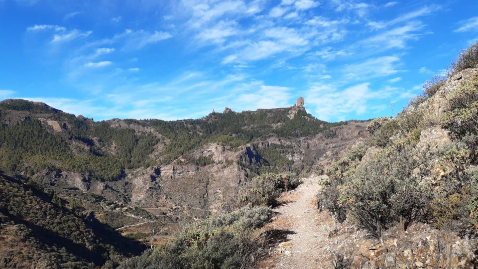 Gran Canaria: Full-Day Guided Hiking With Snacks - Why This Gran Canaria Hike Feels Like a Route of the Week