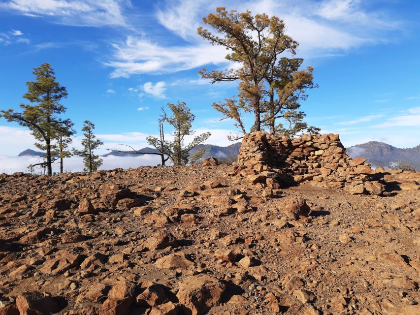 Gran Canaria: Full-Day Guided Hiking With Snacks - Routes Chosen for Weather, Flora, and the Best Day Possible