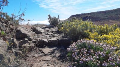 Gran Canaria: Full-Day Guided Hiking With Snacks - The Morning Pickup: South-Coast Start Times You Should Actually Use