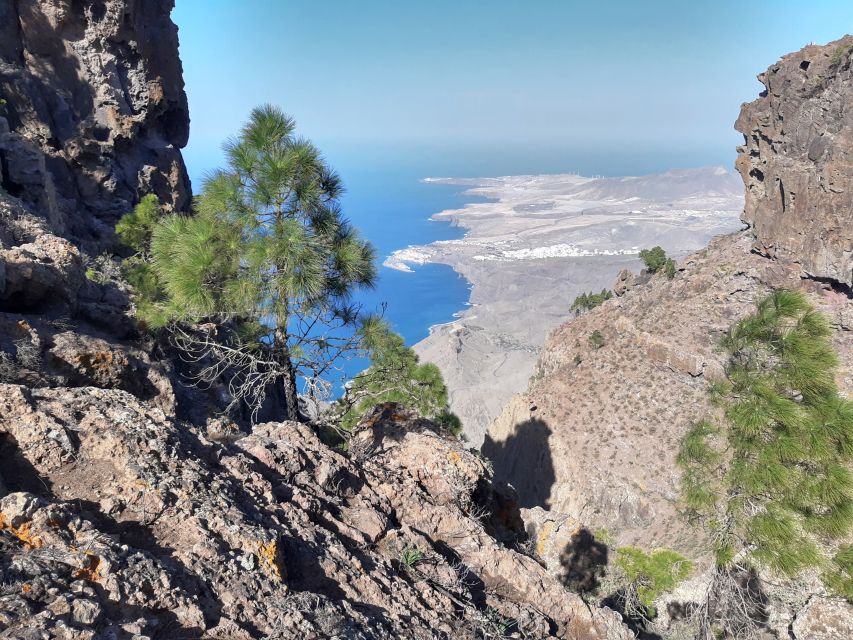 Gran Canaria: Full-Day Guided Hiking With Snacks - Lunch and Snacks: Included Food That Isn’t Just a Token Bite