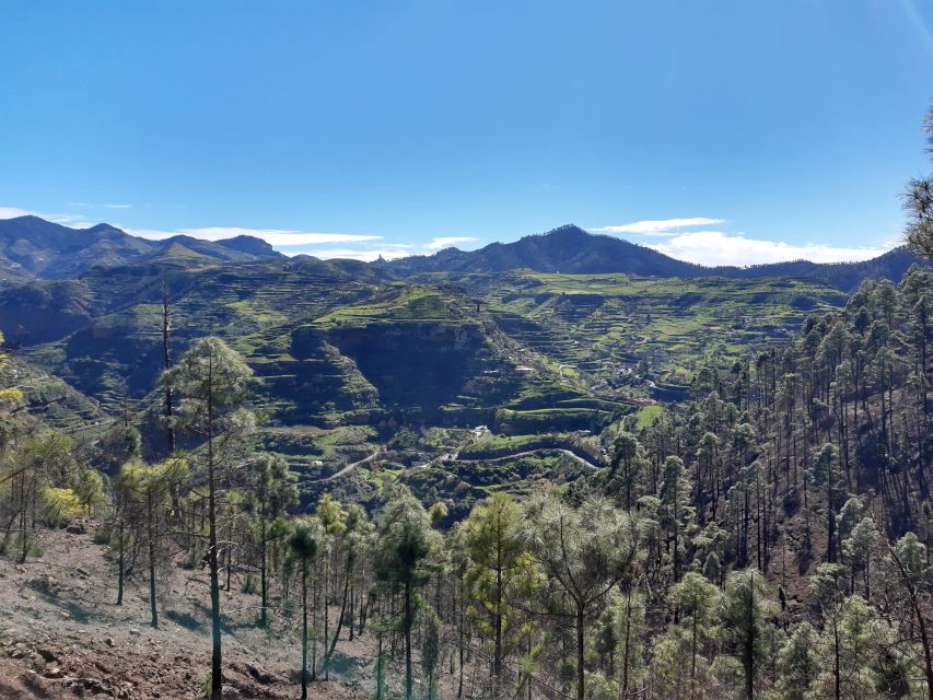 Gran Canaria: Full-Day Guided Hiking With Snacks - Your Guide: Small-Group Attention, Not Just Navigation