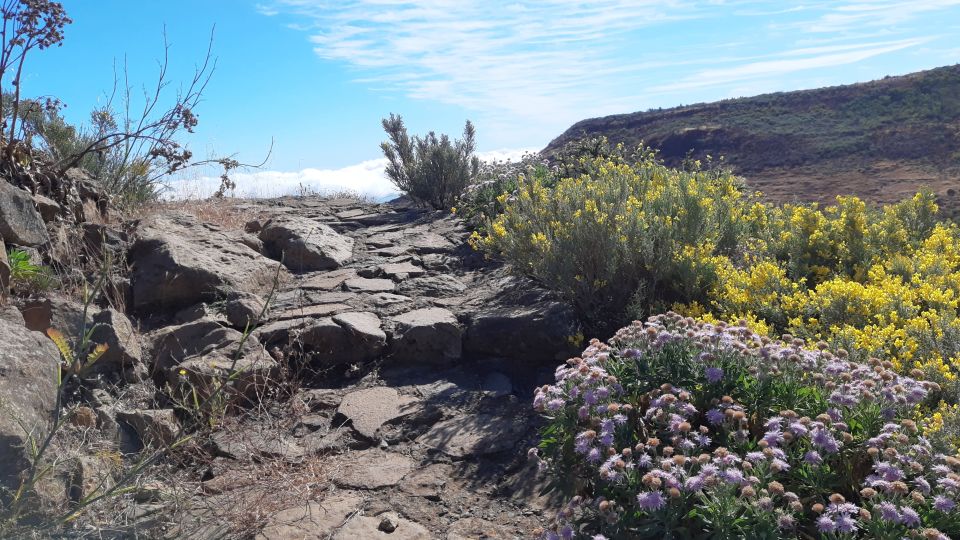 Gran Canaria: Full-Day Guided Hiking With Snacks - The Morning Pickup: South-Coast Start Times You Should Actually Use