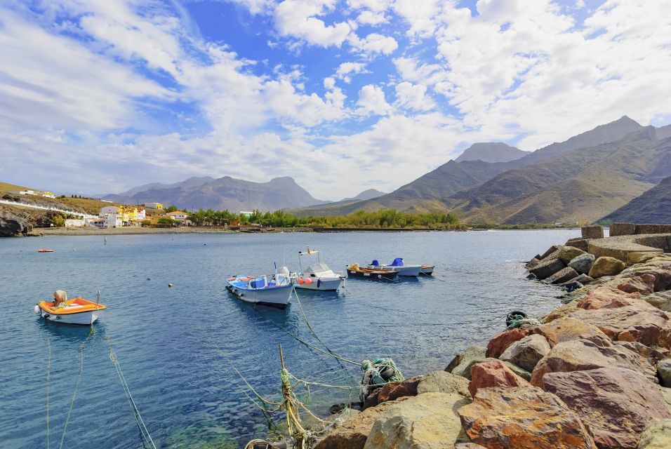 Gran Canaria: Full-Day Island Sightseeing Coach Tour - What You’ll Miss (and How to Add More Later)