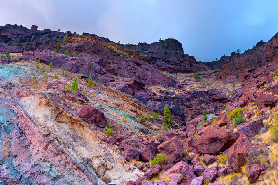 Gran Canaria: Full-Day Island Sightseeing Coach Tour - Road-Watching on Mountain Switchbacks: Comfort and Motion Sickness
