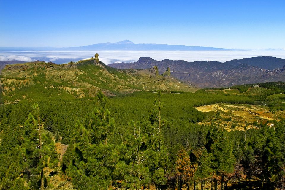 Gran Canaria: Full-Day VIP Tour by Bus - Who This Tour Suits Best
