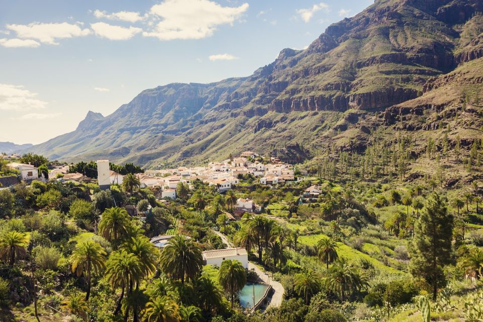Gran Canaria: Full-Day VIP Tour by Bus - Roque Nublo and the Mountain Pass: Volcanic Rock to Pine and Almonds