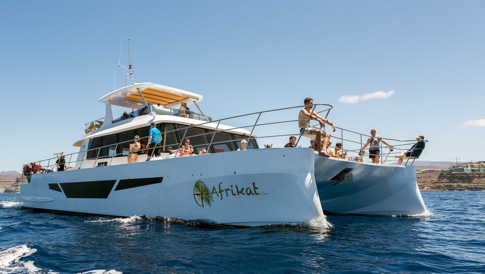 Gran Canaria: Fun Catamaran Cruise with Food and Drinks - Key points worth knowing before you go