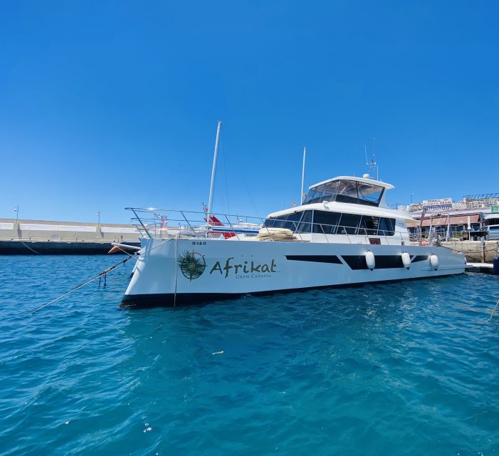 Gran Canaria: Fun Catamaran Cruise with Food and Drinks - The Crew: The Real Reason People Want to Go Again