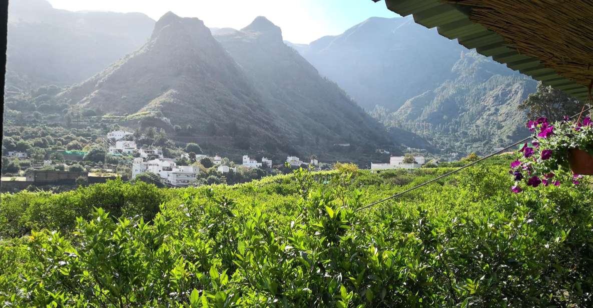 Gran Canaria: Grand Island Tour by Bus with Transfers - Puerto de Mogán: Little Venice by Boat