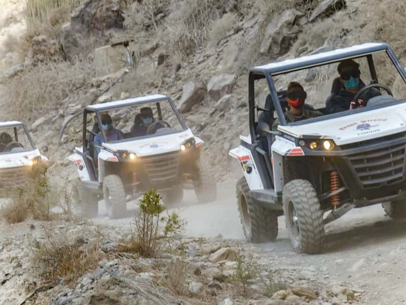Gran Canaria Guided Buggy Tour - Key highlights you should care about