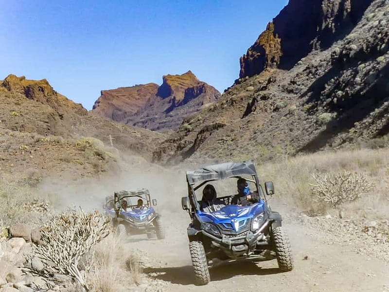 Gran Canaria Guided Buggy Tour - Who this Gran Canaria buggy tour suits best