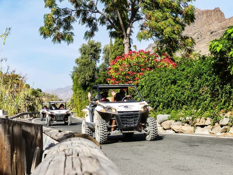 Gran Canaria Guided Buggy Tour - Price and value: is $85 per person a good deal?