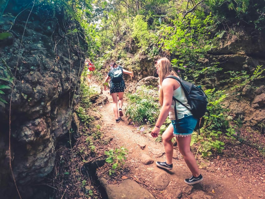 Gran Canaria: Guided Day Tour to Rainforest with Tasting - Key moments that make this tour worth your time