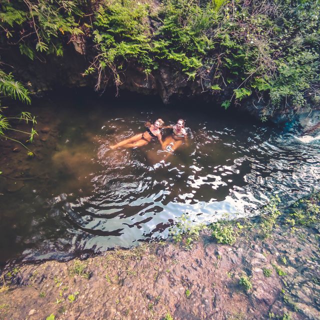 Gran Canaria: Guided Day Tour to Rainforest with Tasting - Who this tour fits best (and who should skip it)