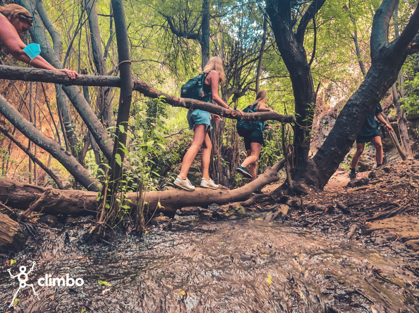 Gran Canaria: Guided Day Tour to Rainforest with Tasting - Firgas to El Puertillo: the day tour that feels like two Gran Canarias