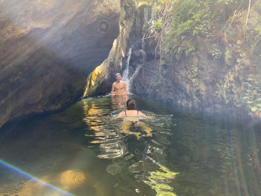 Gran Canaria: Guided Day Tour to Rainforest with Tasting - Logistics that matter: pick-up times, winding roads, and weather gear