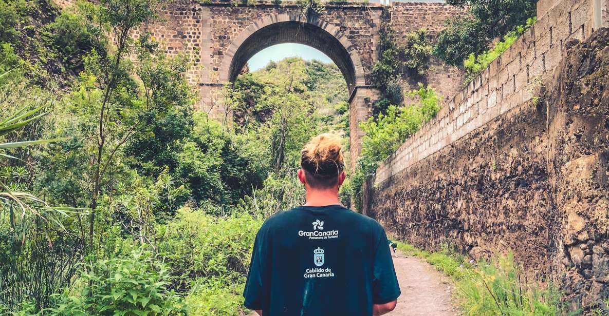 Gran Canaria: Guided Day Tour to Rainforest with Tasting - Firgas water mills: short stop, smart context, great views