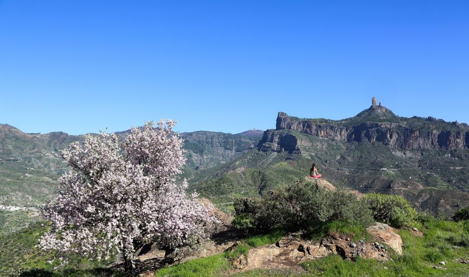 Gran Canaria Highlights Full-Day Tour by Bus - Bus comfort, timing, and the winding-road reality