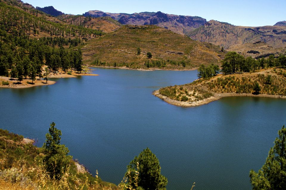 Gran Canaria Highlights Full-Day Tour by Bus - A day that switches from coast to the island’s green center