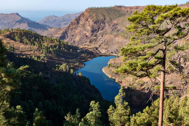 Gran Canaria: Island Highlights Tour with Optional Lunch - First Off the Main Roads: How the Tour Works From Maspalomas