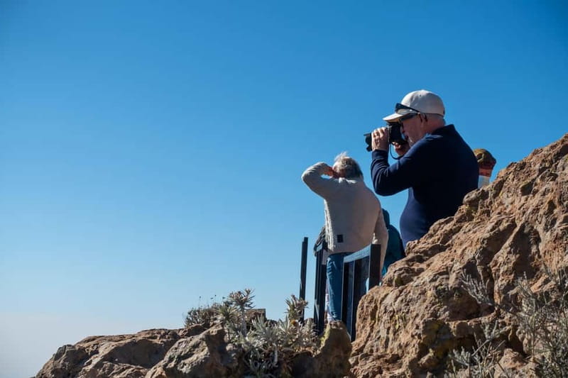Gran Canaria: Island Highlights Tour with Optional Lunch - Caldera de Bandama: A Volcanic Crater With Big View Rewards