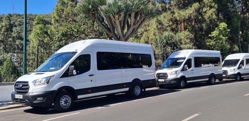 Gran Canaria: Island Highlights Tour with Optional Lunch - Value at $79: What You Get, What Costs Extra