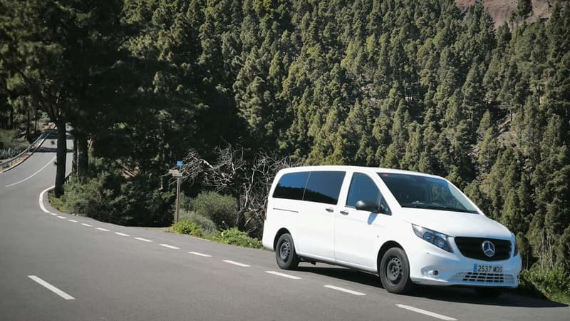 Gran Canaria: Island Highlights Tour with Optional Lunch - Aloe Vera Finca Canarias: A Stop for Facts and Photos