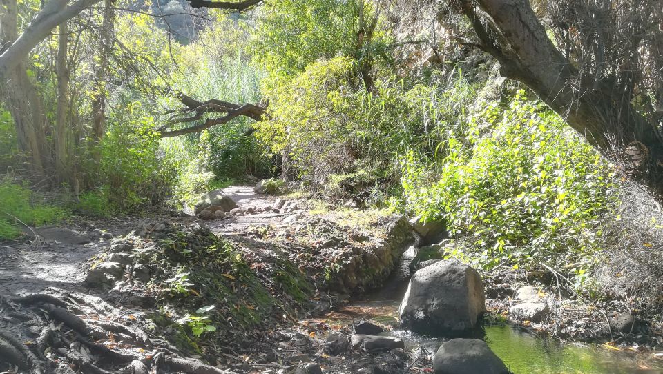 Gran Canaria: "Magic Waterfalls" Hiking Tour - Key things to know before you go