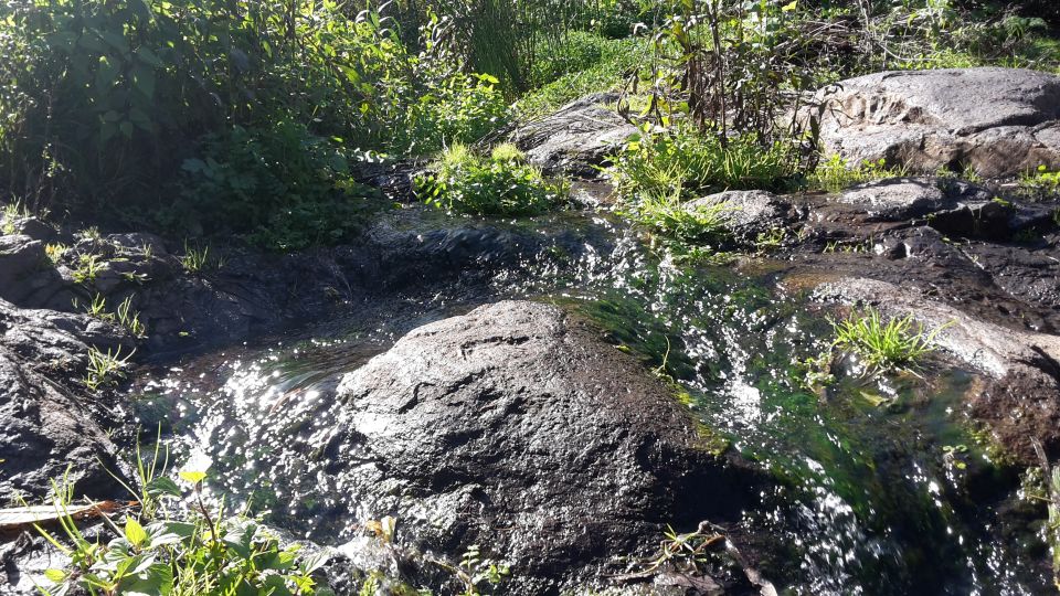 Gran Canaria: "Magic Waterfalls" Hiking Tour - Why these waterfalls feel like a real Gran Canaria day