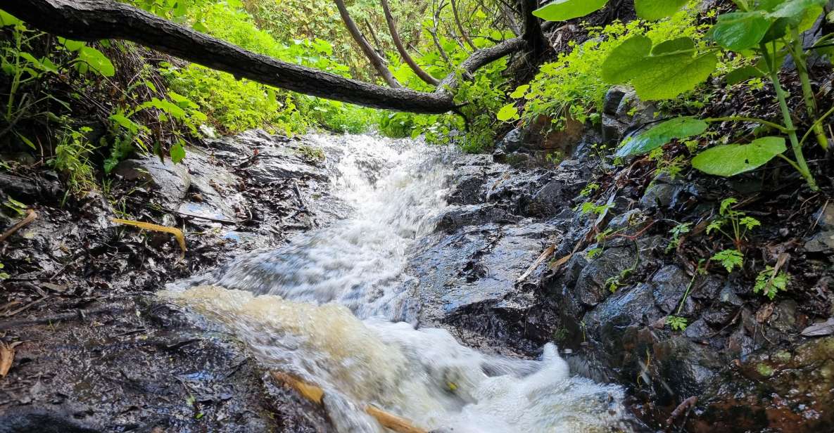 Gran Canaria: "Magic Waterfalls" Hiking Tour - Small-group logistics: pickup zones, ride style, and timing