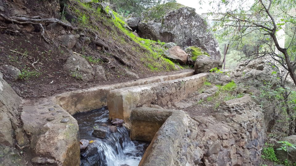 Gran Canaria: "Magic Waterfalls" Hiking Tour - Microclimate hiking: from greener pockets to waterfall moments