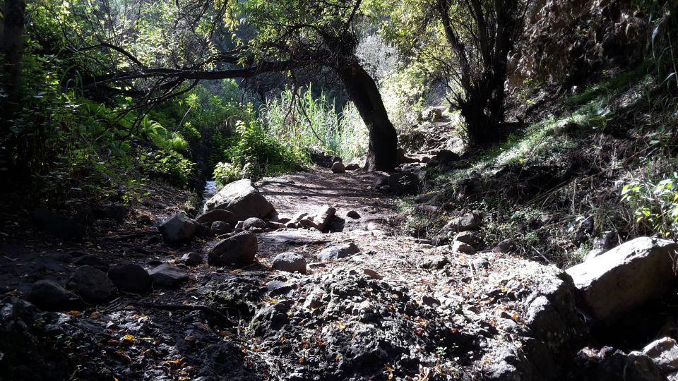 Gran Canaria: "Magic Waterfalls" Hiking Tour - Lunch and the local bar stop: a real end to the day