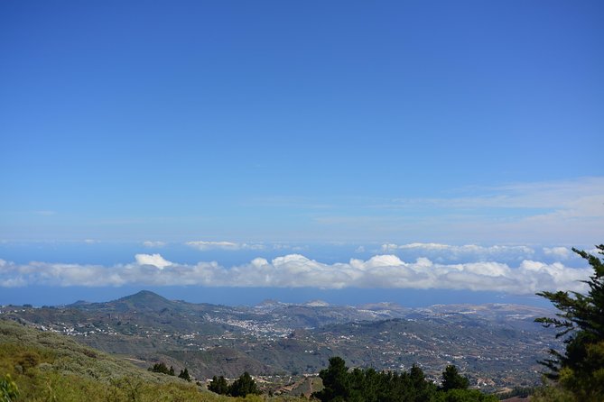 Gran Canaria Peaks Full-Day Tour from Las Palmas - Pico de las Nieves: the day’s highest viewpoint and best “weather test”