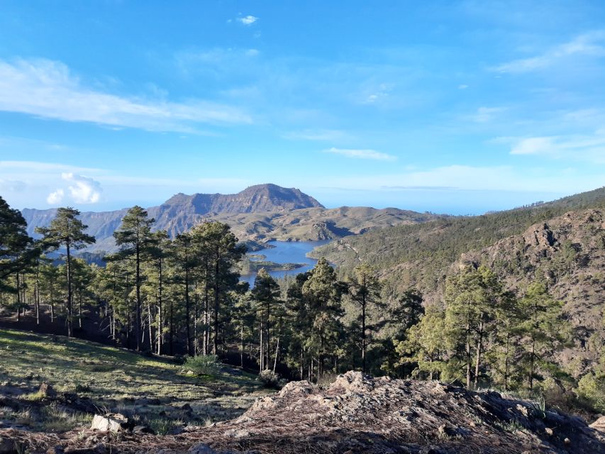 Gran Canaria: "Peaks of Gran Canaria" Hiking Tour - Key things to know before you hike