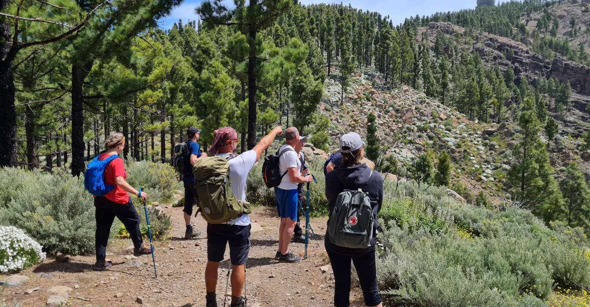 Gran Canaria: "Peaks of Gran Canaria" Hiking Tour - Why this Peaks of Gran Canaria hike is a smart use of your day