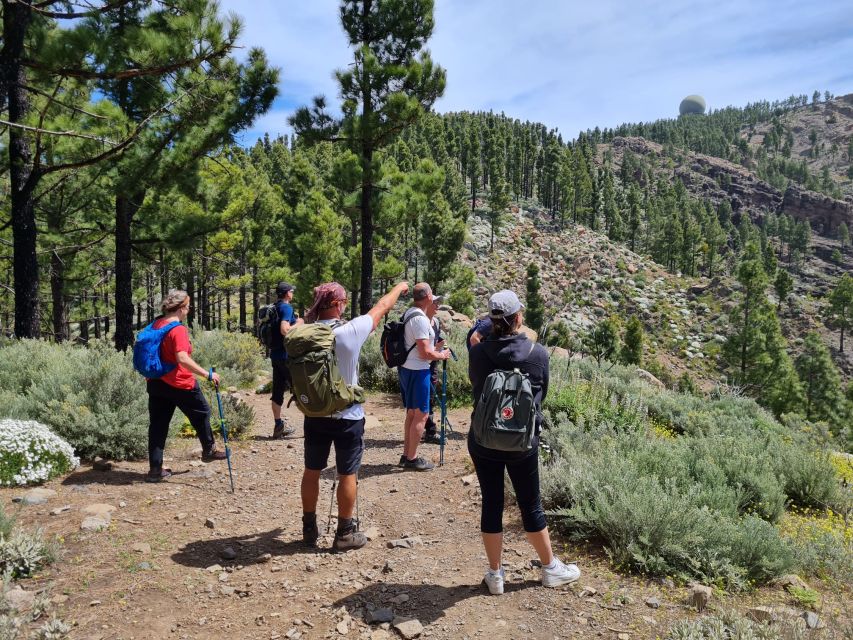 Gran Canaria: "Peaks of Gran Canaria" Hiking Tour - Trail profile: 7 km vs 10 km, and what the difficulty numbers mean
