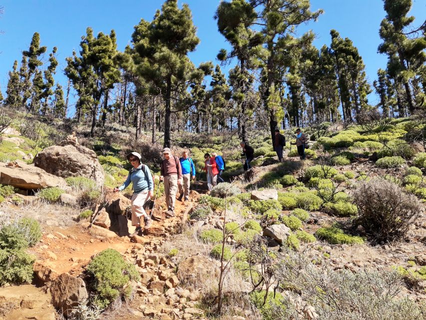 Gran Canaria: "Peaks of Gran Canaria" Hiking Tour - The views you’re aiming for: Pico de las Nieves, Roque Nublo, and Teide