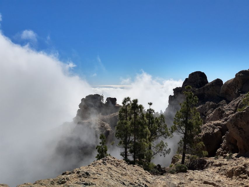 Gran Canaria: "Peaks of Gran Canaria" Hiking Tour - Lunch at the local restaurant: what you’re really paying for