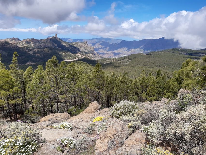 Gran Canaria: "Peaks of Gran Canaria" Hiking Tour - Group size and transport: why max 8 people matters