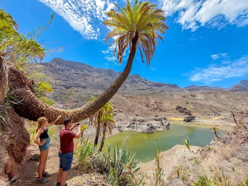 Gran Canaria: Red Gorge, Cave, Oasis Adventure Tour & Picnic - Why this tour feels different from the usual Gran Canaria day trip