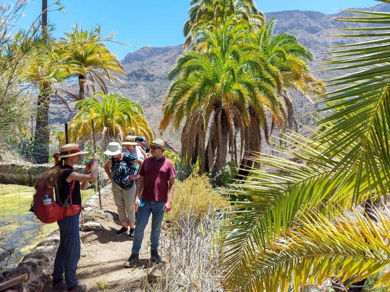Gran Canaria: Red Gorge, Cave, Oasis Adventure Tour & Picnic - WG52+X7 Temisas: caves, tunnels, and rocky hiking (the adventure section)