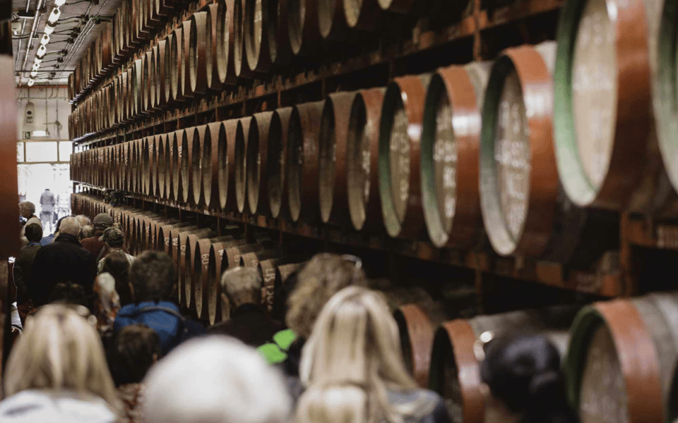 Gran Canaria: Rum, Wines and Banana Tour - Who Should Book This Tour (and Who Might Prefer Something Else)