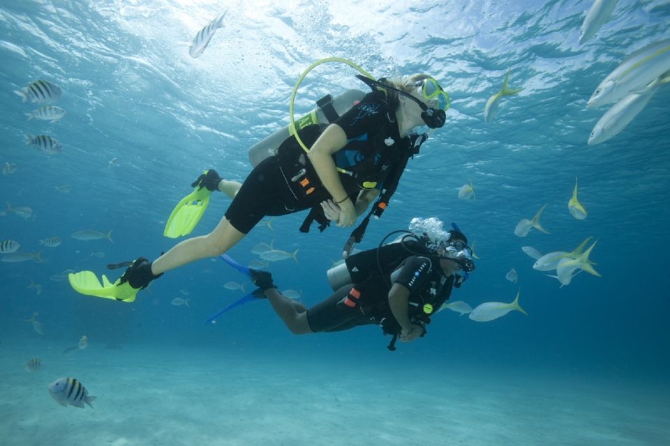Gran Canaria: Scuba Diving for Beginners - Quick hits before you go